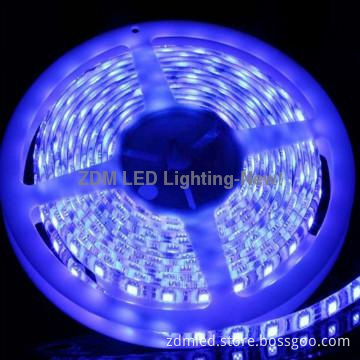 popular sale!SMD5050 120LED per meter led tape light